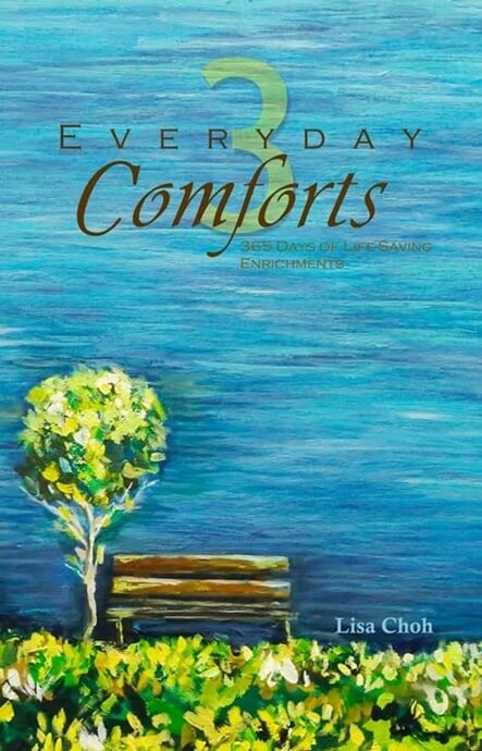 Everyday Comforts 3 Book Cover