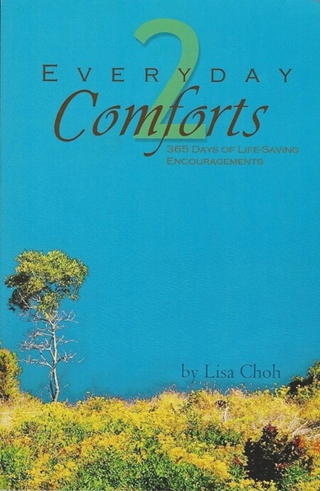 Everyday Comforts 2 Book Cover